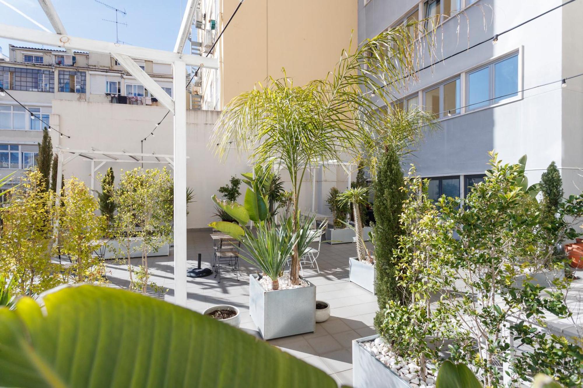 Mojito Breeze In Lisbon By Misha'S Place 3C Exteriör bild