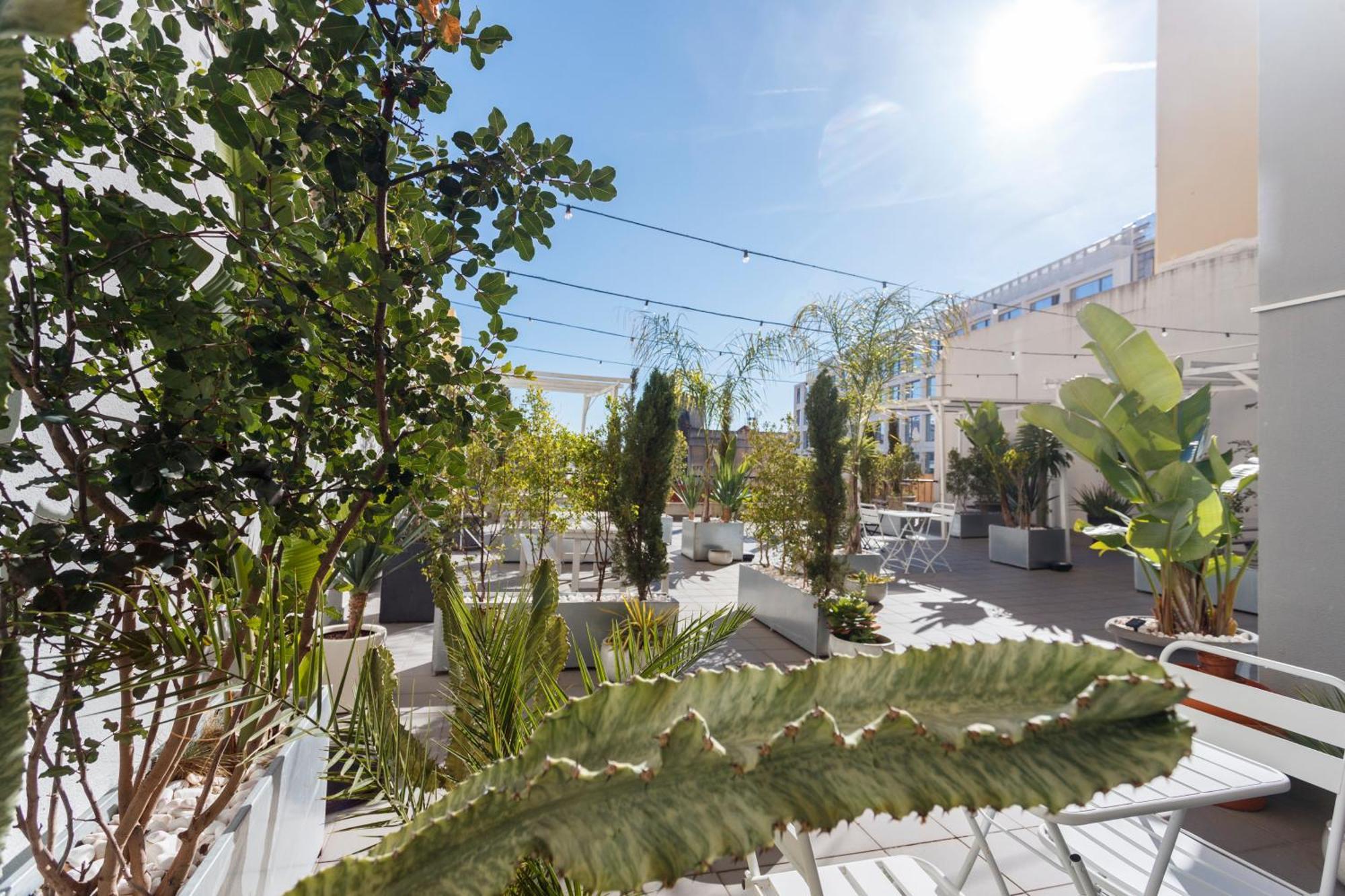 Mojito Breeze In Lisbon By Misha'S Place 3C Exteriör bild